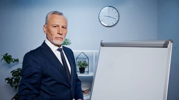 Homme d'affaires senior debout près de tableau à feuilles mobiles dans le bureau  - Photo, image