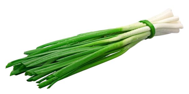 green fresh onion feathers with water drops are gathered in a bundle on a white isolated background - Photo, Image