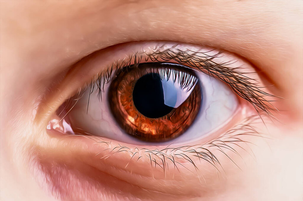 Occhio umano marrone, molto primo piano, foto stilizzata come un dipinto ad olio. - Foto, immagini