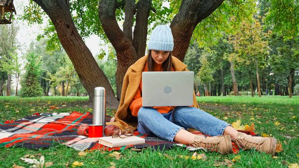 young freelancer working on laptop while sitting on plaid blanket under tree in park - Foto, Imagem