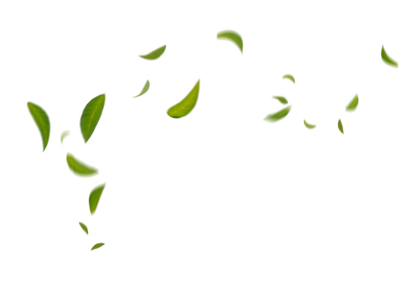 Las hojas flotantes verdes que vuelan dejan la hoja verde que baila, atmósfera del purificador de aire Imagen principal simple - Foto, Imagen