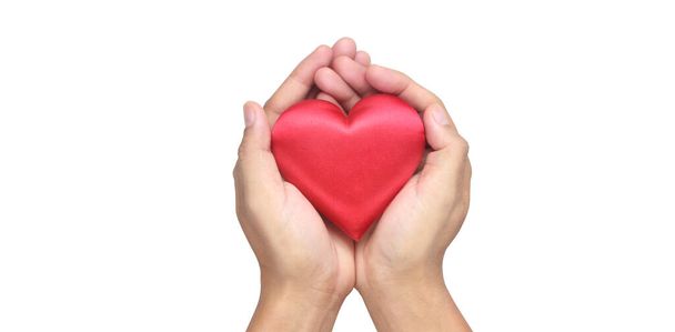 Manos sosteniendo un corazón rojo. conceptos de donación de salud cardíaca - Foto, Imagen