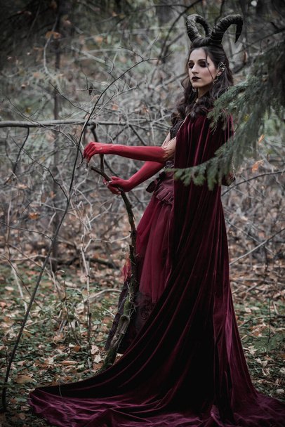 Dark fairy in the forest - Foto, imagen