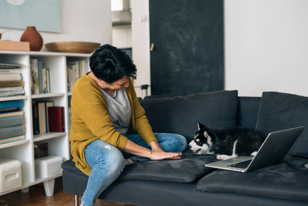 woman sitting on sofa in her living room and using laptop computer, holding her dog - Photo, image