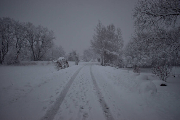 Paisaje en Vaduz en Liechtenstein desaparece en una gran cantidad de nieve fresca 14.1.2021 - Foto, imagen