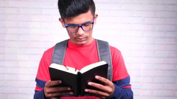 νεαρός άνδρας με σακίδιο διαβάζοντας ένα βιβλίο  - Πλάνα, βίντεο