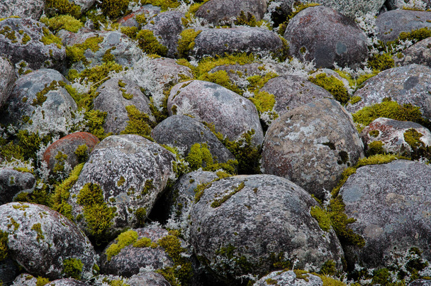 Камни и мох. - Фото, изображение