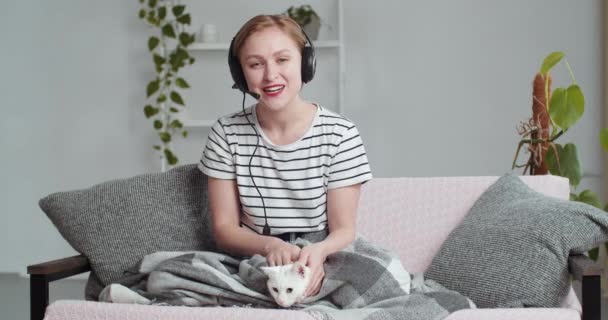 Webcam άποψη του όμορφου χαμογελαστού νεαρή κοπέλα επιχειρηματίας φοιτητής φοράει μικρόφωνο κεφαλής μιλάει στην κάμερα κουνώντας το χέρι του σε χαιρετισμό αγκαλιές αγαπημένο κατοικίδιο ζώο γάτα επικοινωνεί με βίντεο chat συνέδριο - Πλάνα, βίντεο