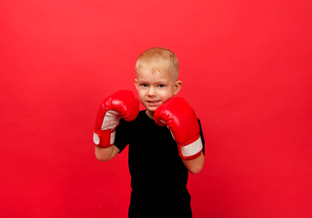 a little boy boxer in red boxing gloves stands in a stand on a red background with a place for text - Photo, Image