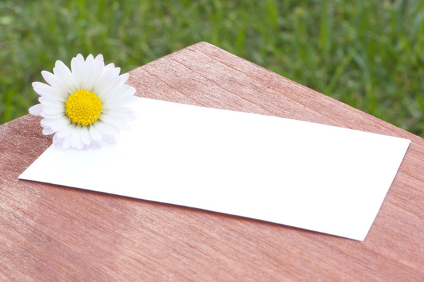 white card with flowers - Foto, afbeelding