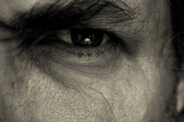 zwart-wit foto van het menselijk oog - Foto, afbeelding