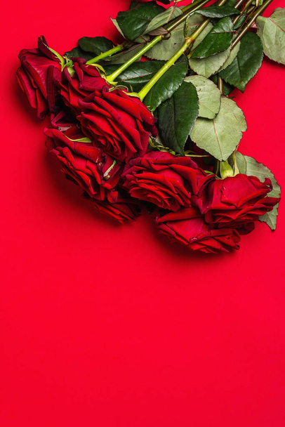 マットな赤いファミランの背景に新鮮なバーガンディのバラの花束。香りの赤い花、バレンタインデー、結婚式や誕生日のためのギフトコンセプト - 写真・画像