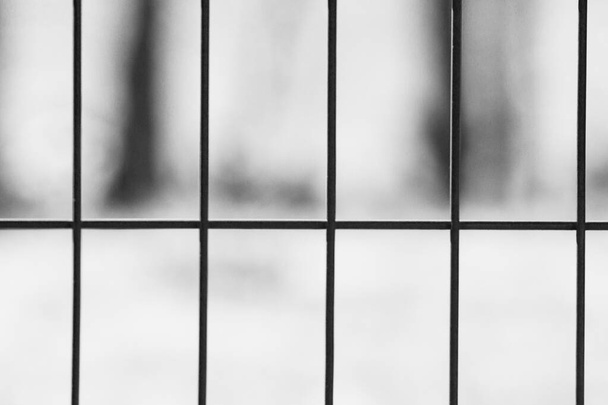 背景のぼやけた金属製のフェンス。投獄と安全保障の概念 - 写真・画像