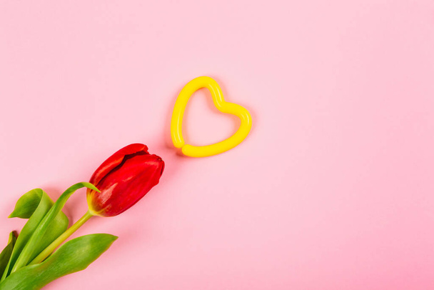 Corazón amarillo y tulipán rojo sobre fondo rosa con espacio para copiar, lugar de texto. Diseño para publicidad de relaciones, salud, medicina, estilo de vida o deporte. Feliz día de San Valentín. Enamórate. Minimalismo. - Foto, imagen