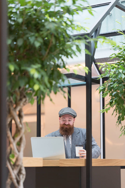 Portrait of brutal bearded hipster man wearing wool blazer, cap working on laptop sitting in cafe/ restaurant, drinking coffee from a paper cup, indoor. Distance job, remote work. - Foto, imagen
