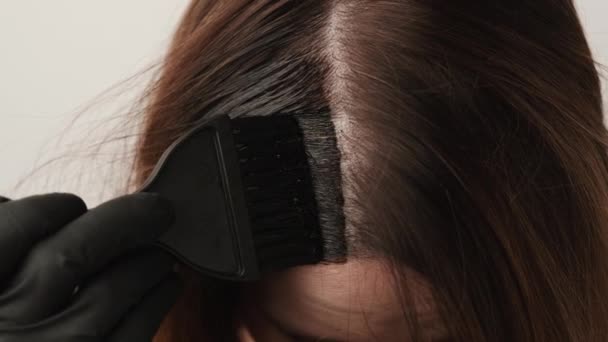 Mujer colorear raíces de pelo gris usando un cepillo. Consejos para teñir el cabello en casa - Metraje, vídeo