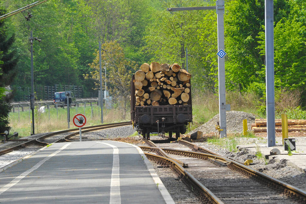 un tren de mercancías para el transporte de mercancías por ferrocarril - Foto, Imagen