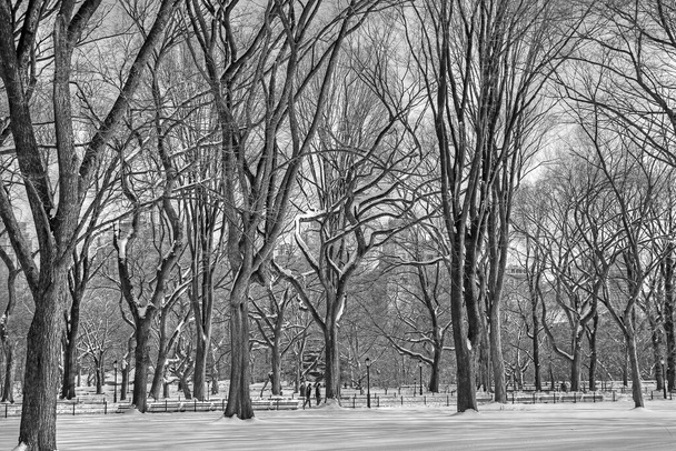Téli jelenetek a Central Park különböző részein - Fotó, kép