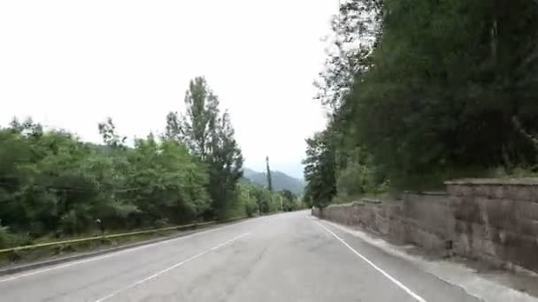 Paseo en coche por una carretera plana de asfalto en medio del bosque - Metraje, vídeo