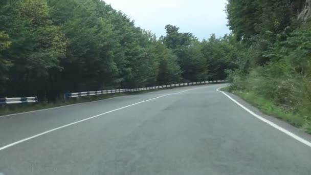 Autorit op een vlakke asfaltweg midden in het bos - Video