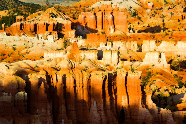 O Parque Nacional do Canyon Bryce
 - Foto, Imagem
