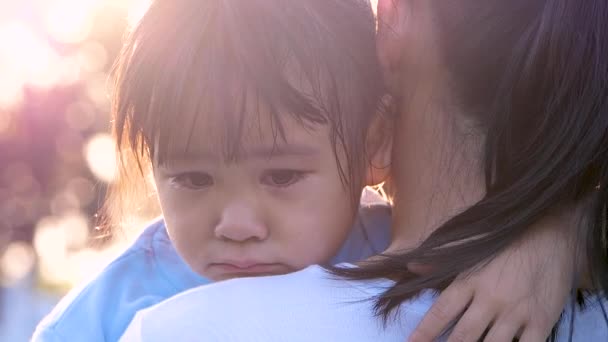 Madre che consola e abbraccia la sua figlioletta che piange in un parco all'aperto. concetto di paternità. - Filmati, video