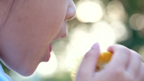 Aranyos kislány csemegekukoricát eszik a parkban. Egészséges és vegetáriánus ételek. - Felvétel, videó