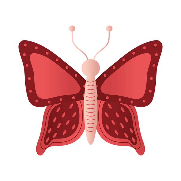 butterfly with a red color - Vector, Image