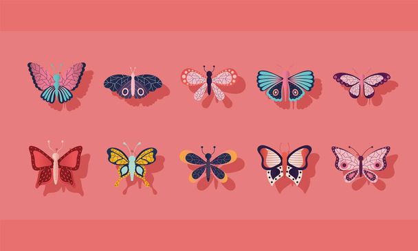 conjunto de mariposas sobre un fondo rosa - Vector, imagen