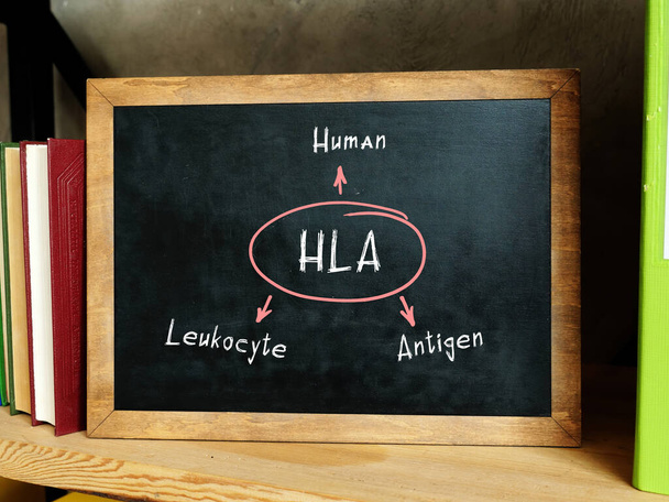 Szöveg HLA emberi leukocita antigén a koncepció fotó. Csendélet egy halom színes könyvvel és fekete vaddisznóval. - Fotó, kép