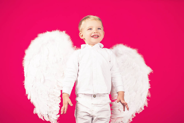 Angel cupid child boy with a white wings isolated on red. - Fotoğraf, Görsel