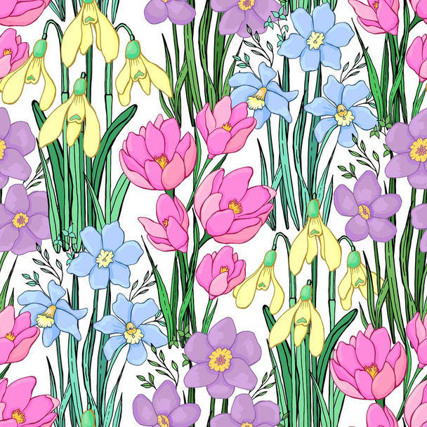 Spring wildflowers. Botanical background. Isolated vector seamless pattern. - Vector, Image