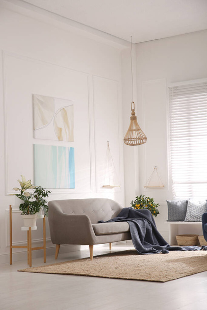 Beautiful living room interior with comfortable gray sofa - Foto, imagen