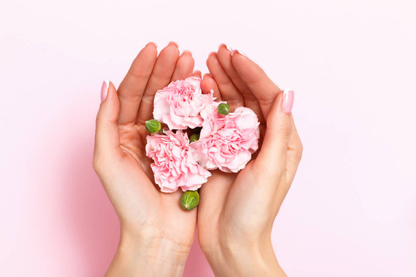 Τα γυναικεία χέρια κρατούν μπουμπούκια ροζ τριαντάφυλλων στις παλάμες σε ροζ παστέλ φόντο. Έννοια ομορφιάς και φροντίδας. - Φωτογραφία, εικόνα