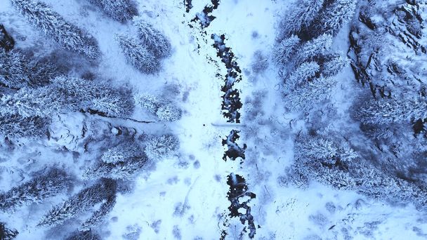 Велична сніжна ущелина з ялинами в горах. Високі дерева чіпляються до білих хмар. Круті скелі з великими скелями вкриті снігом. Верхній вид з дрона. Алмарасан, Алмати, Казахстан - Фото, зображення