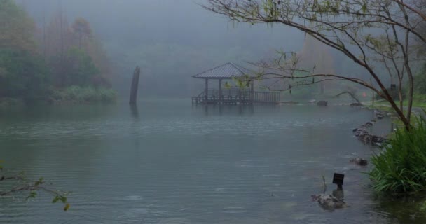 Yilan County, Tchaj-wan, národní lesní rekreační oblast, Poming Pool v deštivý den - Záběry, video