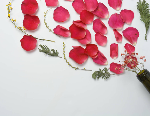 Rosenblätter und Zierpflanzen platzen aus dem Flaschenhals. Frauentag, blumige Weinaromen. Kopierraum. flache Lage. - Foto, Bild