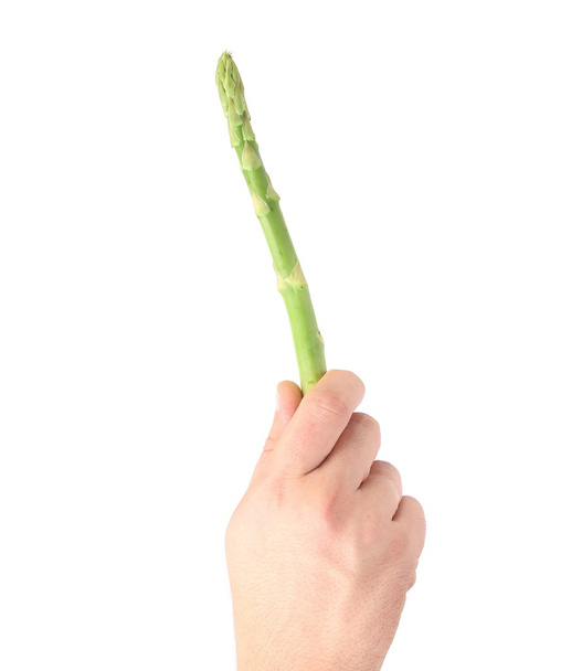 Hand holds fresh green asparagus. - Foto, imagen