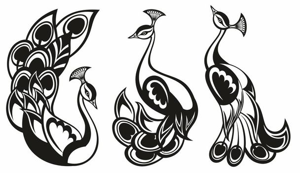 Павлины. Набор векторов павлина. Логотип птицы для вашего дизайна - Вектор,изображение