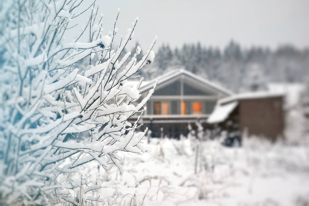 Paysage hivernal, branches d'arbres recouvertes d'une épaisse couche de neige, une maison floue. - Photo, image