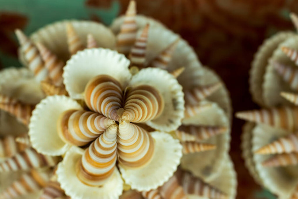 Ambachten die gemaakt van vele soorten oesters van de zee close-up - Foto, afbeelding