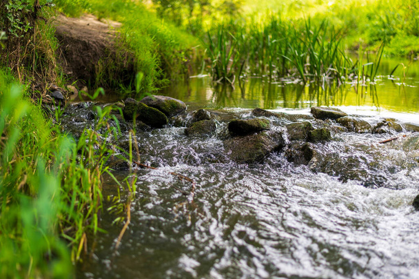 River flow over rocks in summer day. Waves of the river flow. Relaxing nature landscape scenics - Fotografie, Obrázek