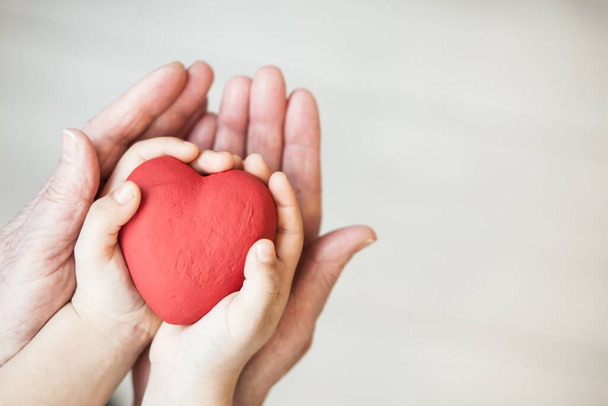 close up of woman holding a heart in hand - Photo, Image