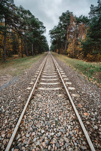 railway track leading through the forest - Foto, Imagen