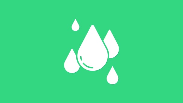 Icône goutte d'eau blanche isolée sur fond vert. Animation graphique de mouvement vidéo 4K - Séquence, vidéo