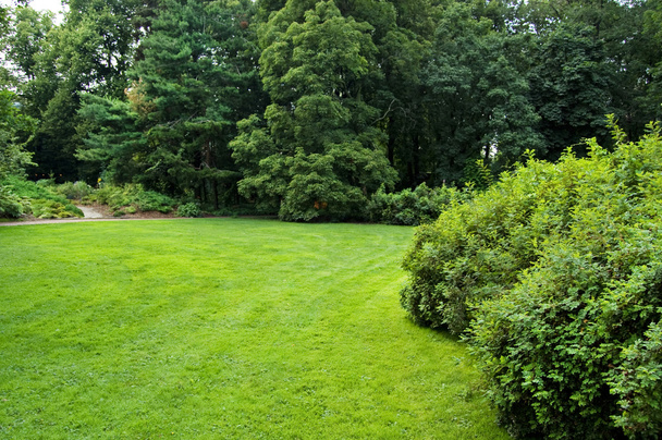 Lawn in a botanical garden - Foto, Imagem
