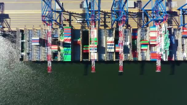 Containerschip in import export en zakelijke logistiek, Met kraan, Handelshaven, Vrachtvervoer naar haven, Luchtfoto van drone, Internationaal vervoer, Bedrijfslogistiek concept - Video