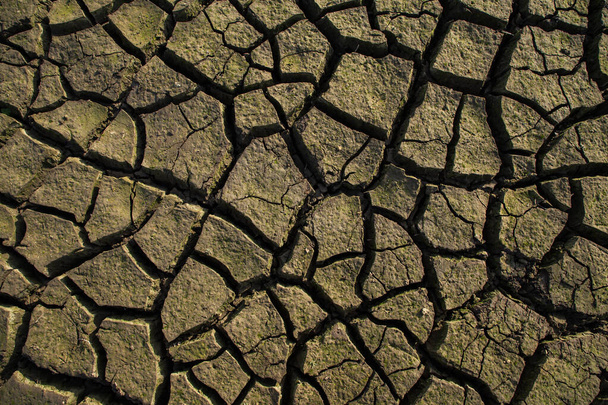 Trockenheit, trockene Sommer, rissiger Boden, Boden auf dem Feld, verschwommene rissige Erde. Konzept für globale Erwärmung und Treibhauseffekt. - Foto, Bild