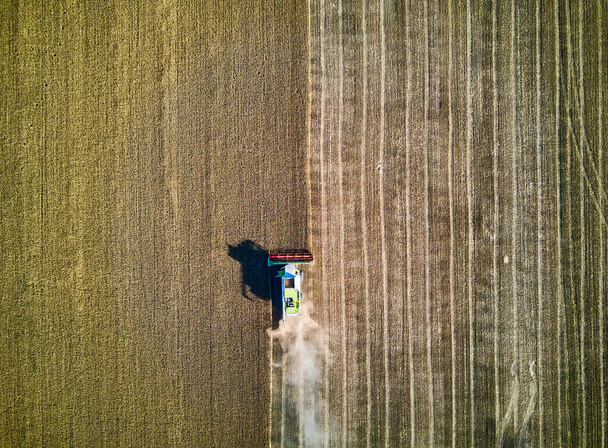 Luchtfoto op de maaidorser verzamelt de tarwe bij zonsondergang. Graanveld oogsten, oogstseizoen. Zicht op de oogstmachine in het gedeeltelijk geoogste veld. Zomer, Moldavië, Europa. - Foto, afbeelding