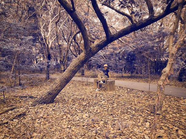 Covid-19 salgını sırasında Bangkok yakınlarındaki halk parkında dinlenme, birinci aşama. - Fotoğraf, Görsel
